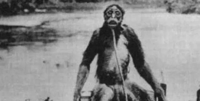 原创大兴安岭突现野人行径抓捕后意外发现世外文明传说生物被活捉