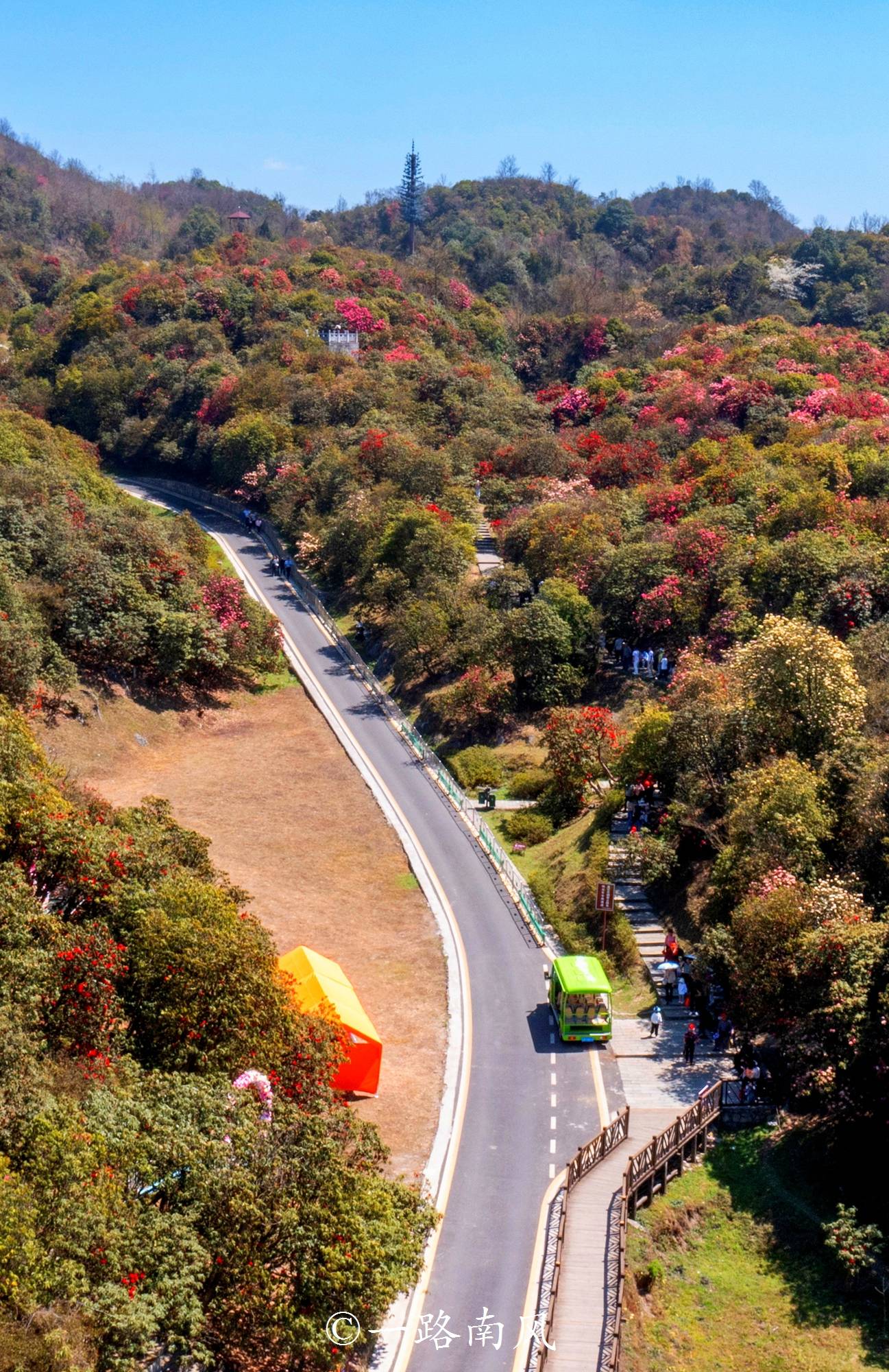 杜鹃_风景区_百里