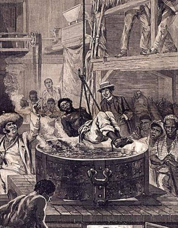 的黑奴:每月赚25美元,担心妻女被侮辱,再也不回种植园_工作_曼迪_生活