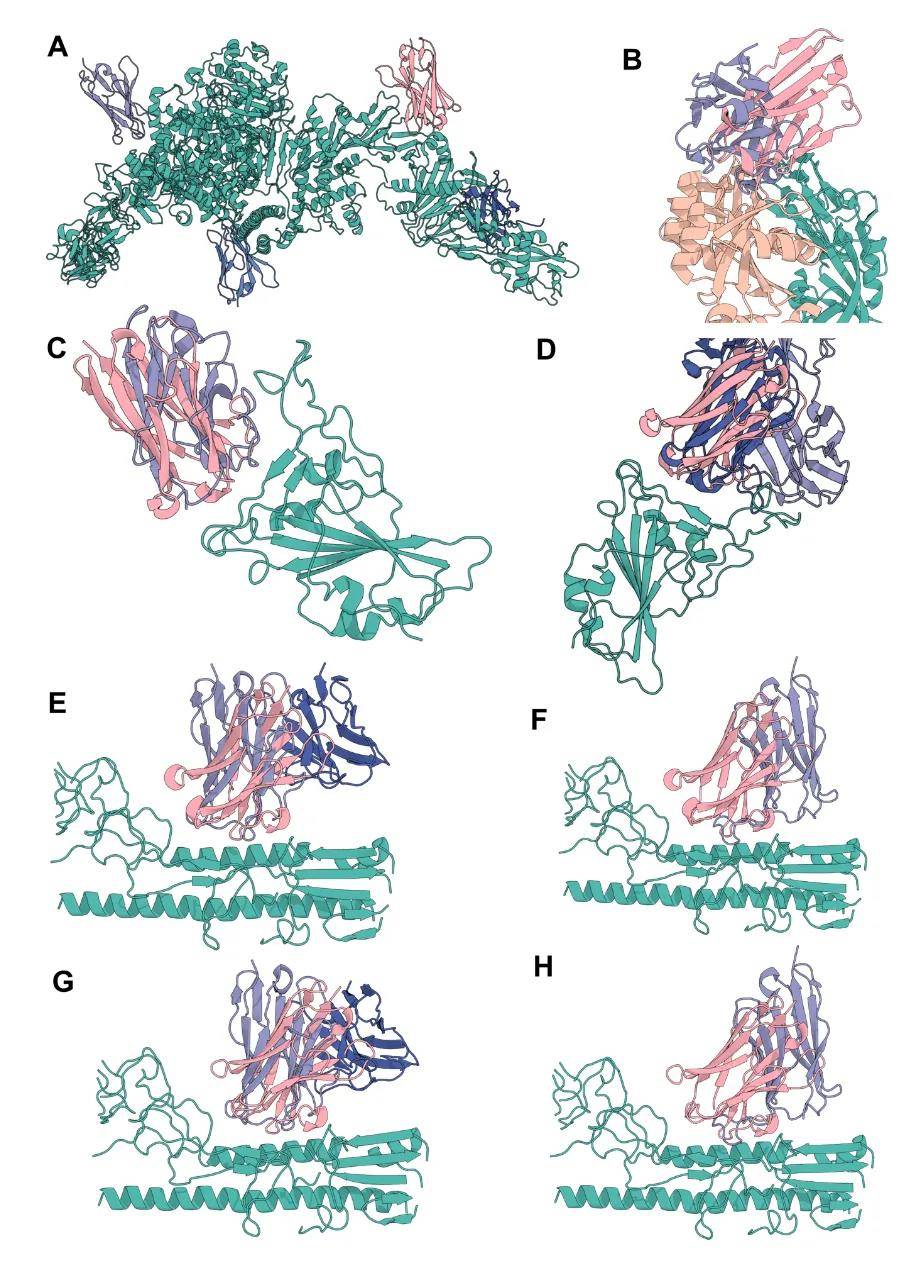 生成式ai首次设计出全新抗体!_结构_抗原_网络