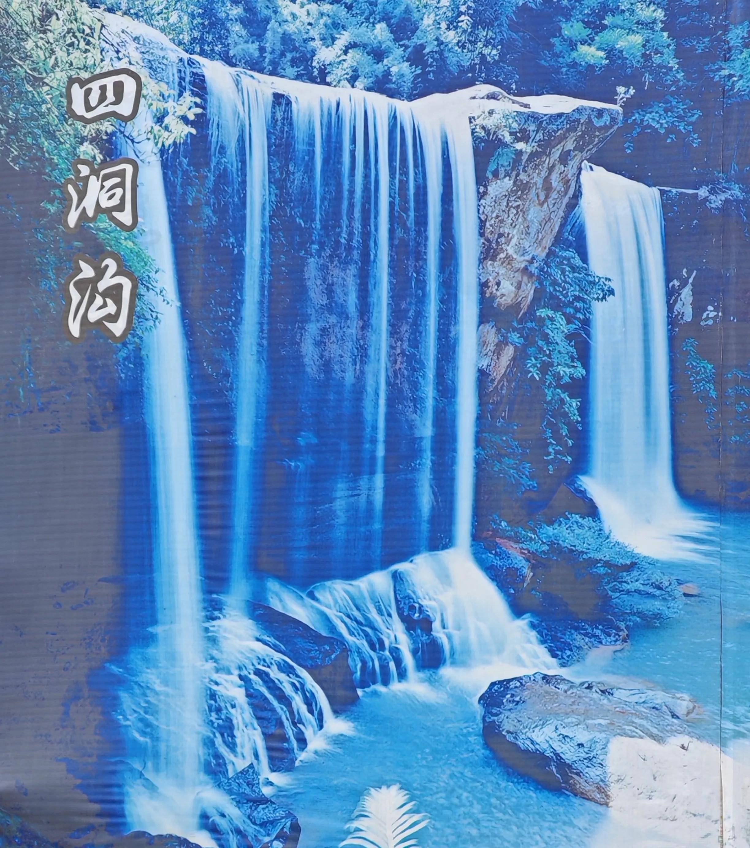 大瀑布绝美结合-赤水大瀑布,海南到天津自驾游第十天_观光车_景区