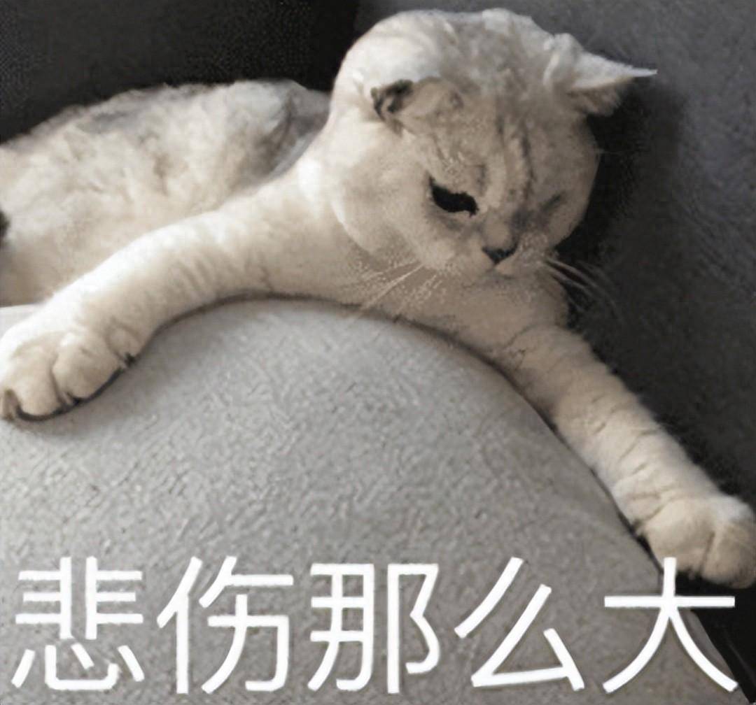 第九城市_第九城市_第九城市