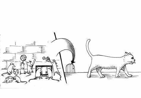 curiositykilledthecat好奇心害死猫猫还有哪些习惯表达