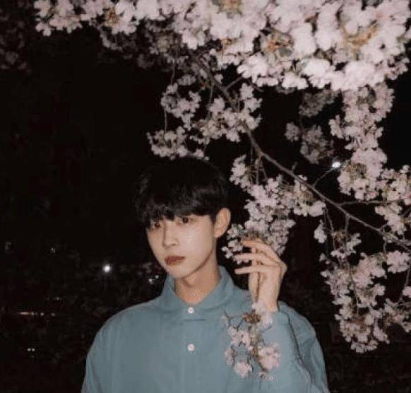 现在刀子嘴豆腐心的人很多,他们表面上高冷,对人特别的狠,但是内心