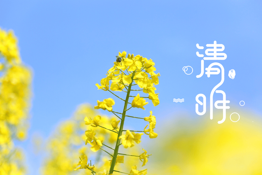 人间四月春风起正清明古诗词里的清明愿我们慎终追远怀故萌新