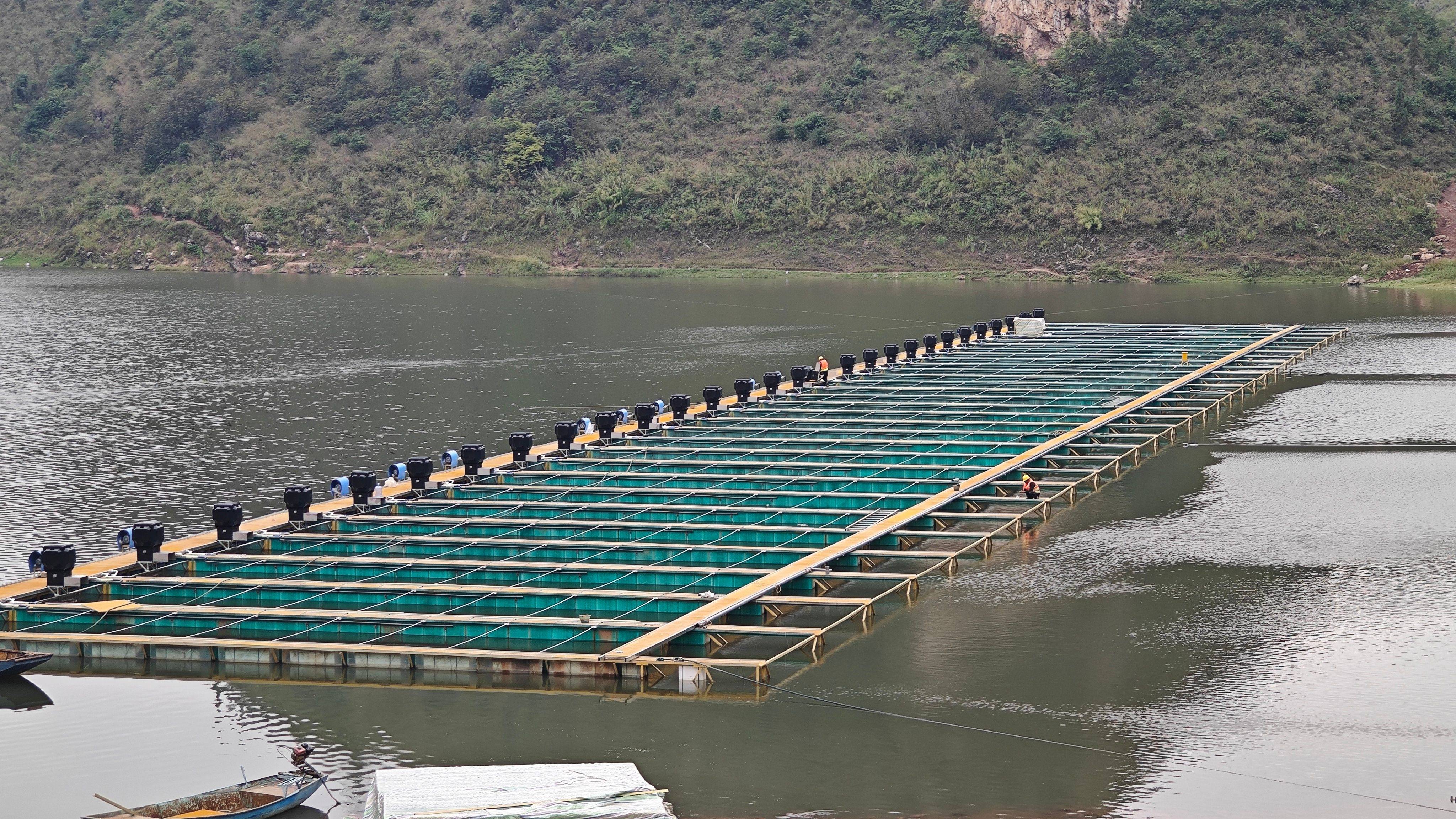 相比传统养殖,流水槽跑道式养殖的优势在哪?如何减少养殖成本?