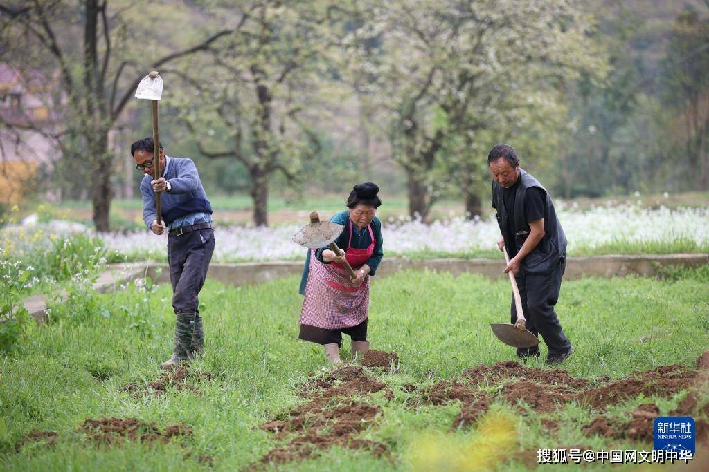 从北到南的春耕"渐变色"_东北_全国_时节
