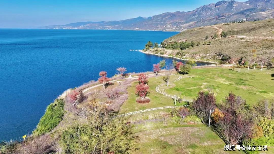 碧玉清溪 象往之地丨踏青赏春行→ 抚仙湖小众景点推荐_明星村_美景