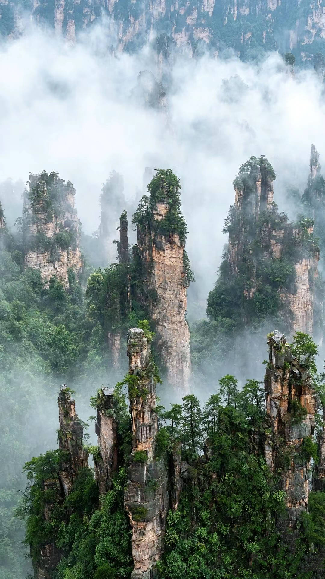 张家界天门山旅游五天纯玩路线及费用张家界品质团价格看完这篇超省钱