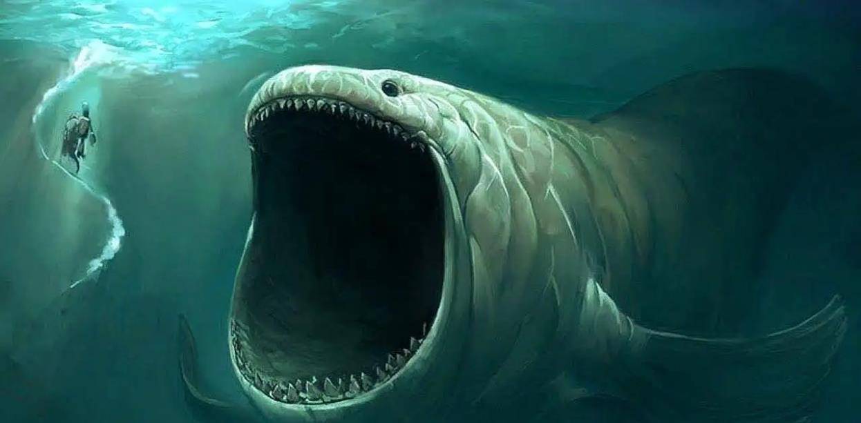 2009年老板投入6000万尾鱼苗鱼集体失踪4年后靠鱼年收3000万