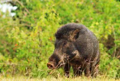 扒一扒古代那些很逗比的战争真让人哭笑不得呀