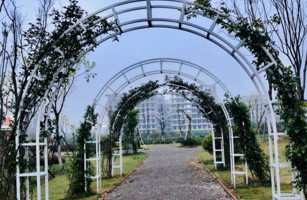 原创上海闵行花好月园公园好比世外桃源