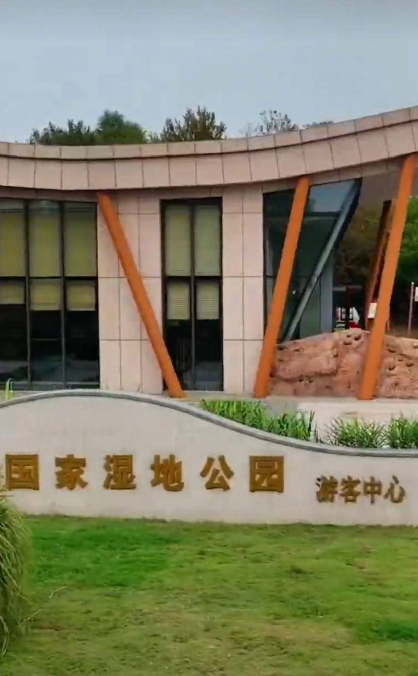 原创苏州吴江同里国家湿地公园迷人的风景