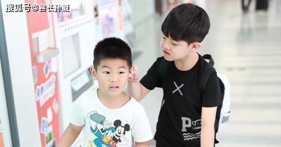 安吉小鱼儿终于打架了揪耳朵挥拳招式不断小鱼儿抱大腿萌翻