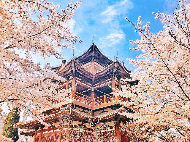 青龙寺之行_寺庙_段元_宁静