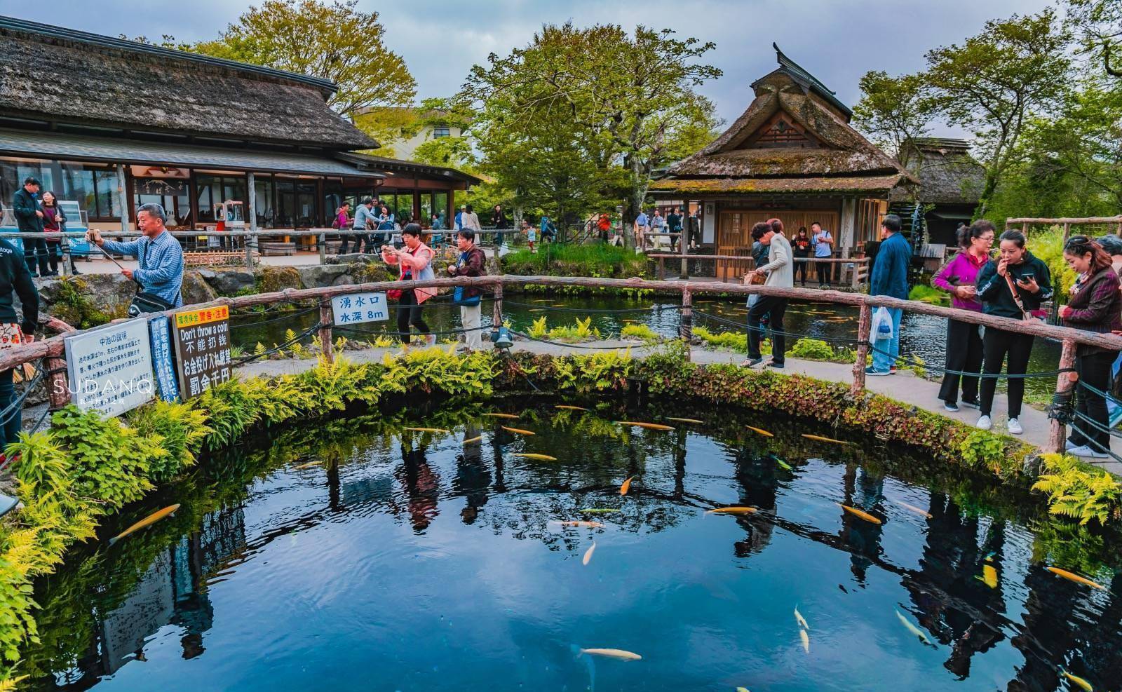 原创日本这个小景点挺美有日本九寨沟之美誉实景令人意外