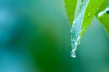 原创人体一湿百病兼得