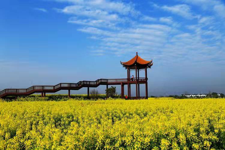 湖北荆门旅游景点排名前十名——过来人的精选指南