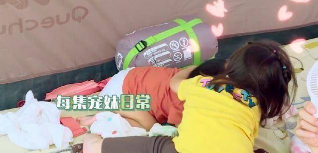 波妞顶风作案咬拖鞋,贾静雯崩溃称要问医生,咘咘5