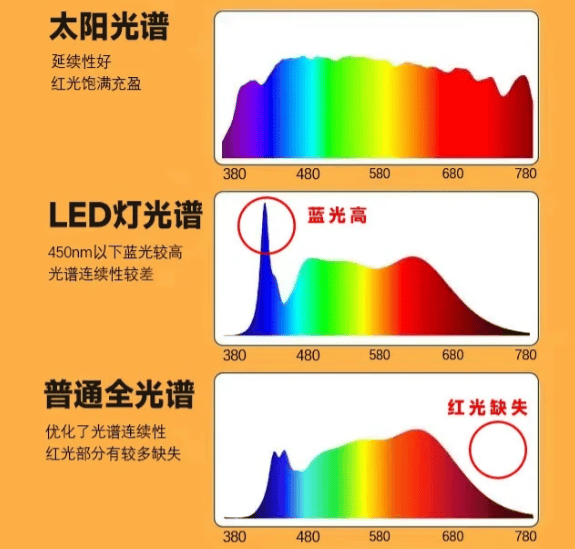 光源示意图图片