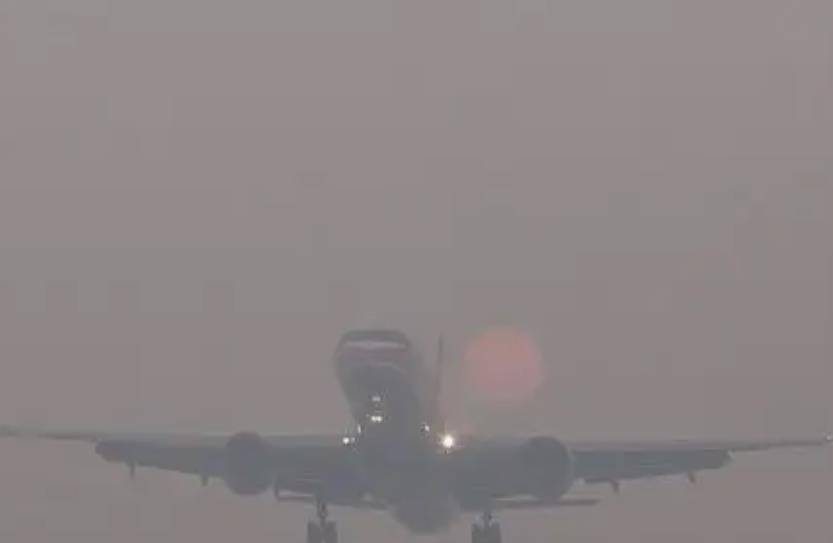 原创中国飞机在韩坠毁129人遇难37人因失误而幸存