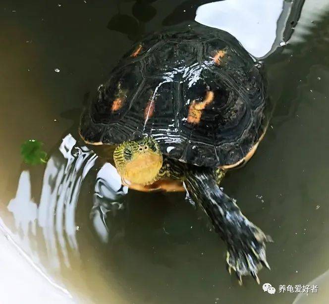 来自搜狐网