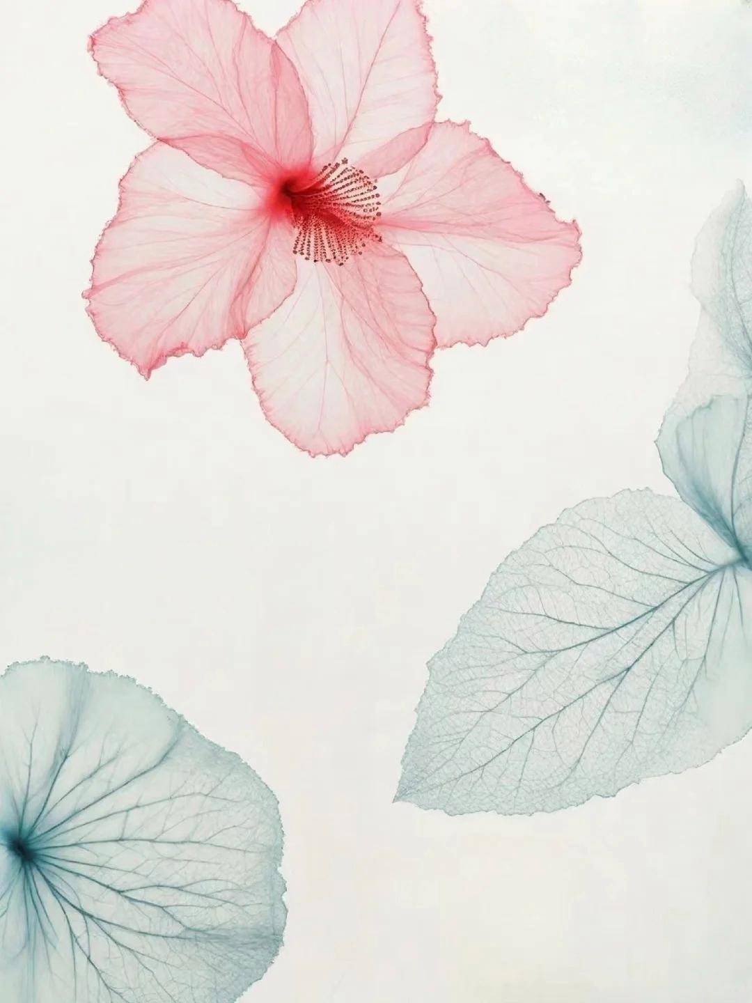 孟浩然以清淡语言构建出清幽的隐逸世界,同时透露出对尘世喧嚣的微妙