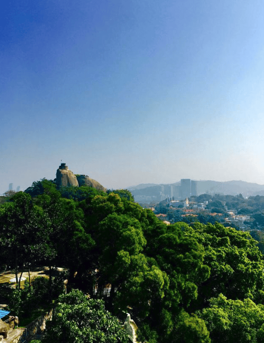 在武夷山请一个导游多少钱武夷山注意事项看这一篇就够了