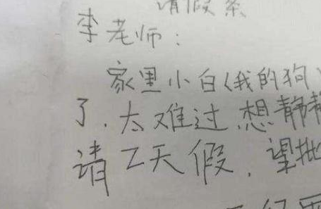 原创小学生写的请假条各式奇葩理由脑洞清奇喝水时千万不要看