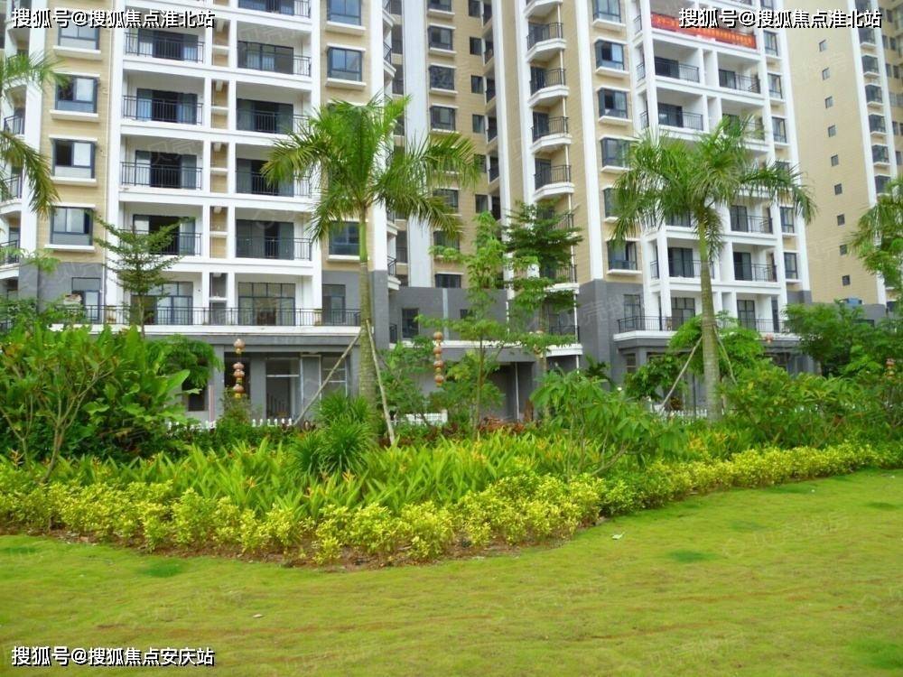 首页海南定安阳光椰风苑售楼处直销网站ai看房线上顾问实时解答楼盘