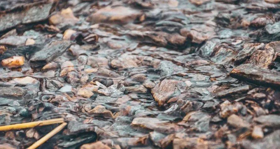 家电经销商的短期焦虑和长期困惑-家电圈官网