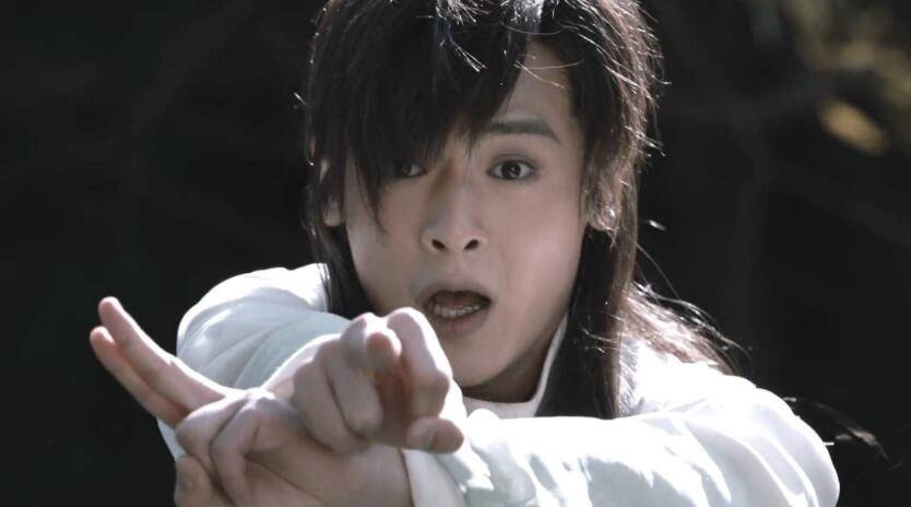 兴趣,是一个十足十的武痴,然而树欲静而风不止,为了躲避段正兴的追杀