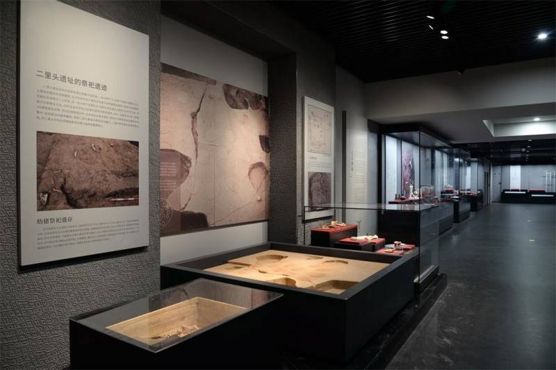 牡丹花开又逢君洛阳再次惊艳全网万茗堂邀您共赴牡丹之约