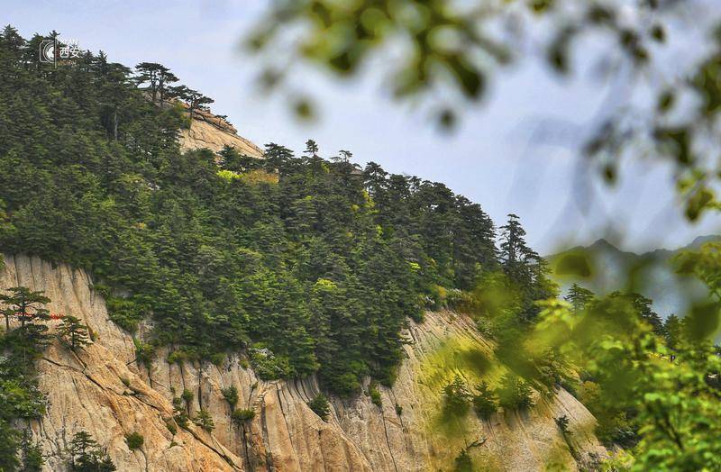 在秦岭北麓邂逅一片春山