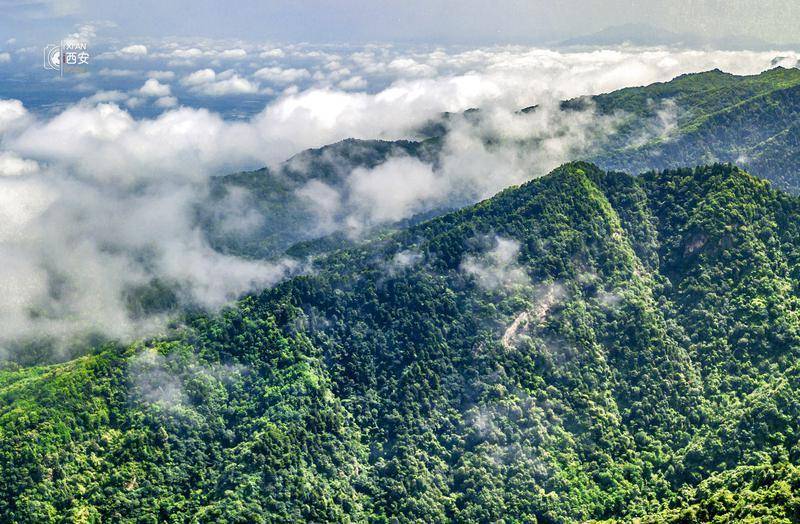 在秦岭北麓邂逅一片春山
