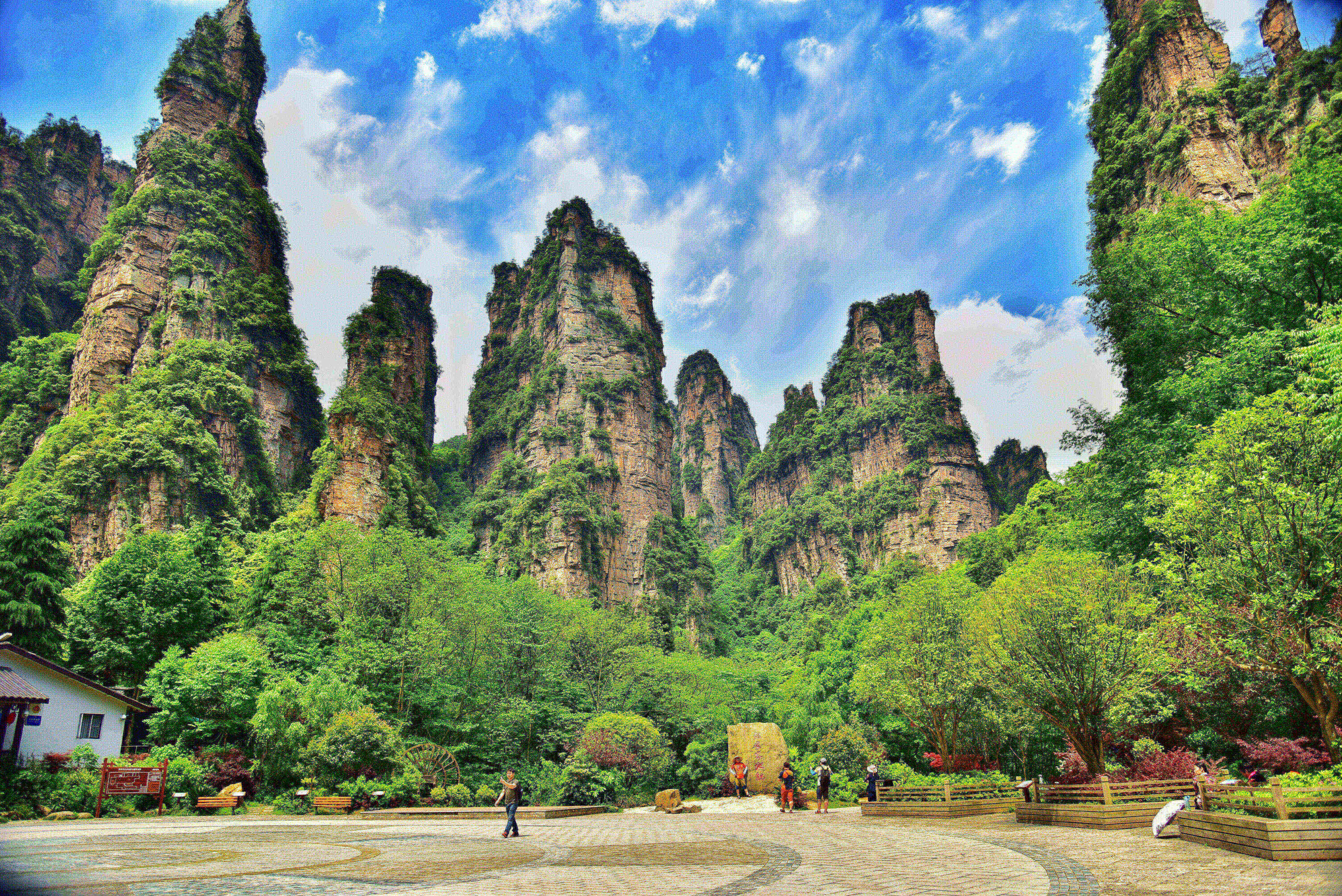 张家界旅游五天要多少钱,天门山,森林公园超便宜