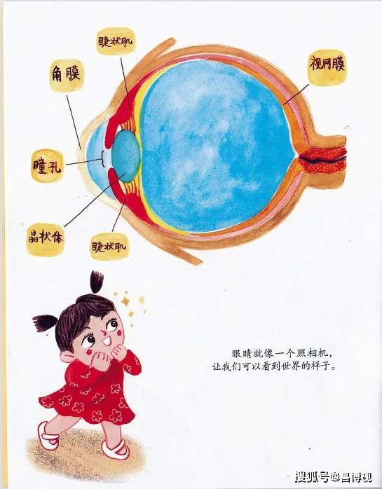 昌博视小雏鹰课堂|绘本共读伴成长(十三)_眼睛_保护_生活