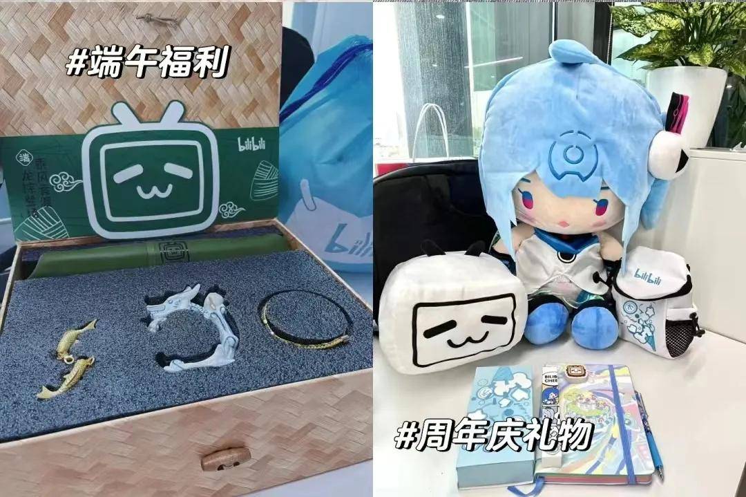 500天哔哩哔哩招人啦全职实习来b站快乐撸猫面基见up