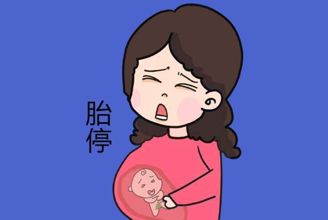 5年遭遇4次胎停没想到竟是隐匿性平衡易位惹的祸