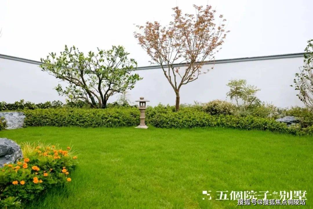 五个院子的别墅|项目篇
