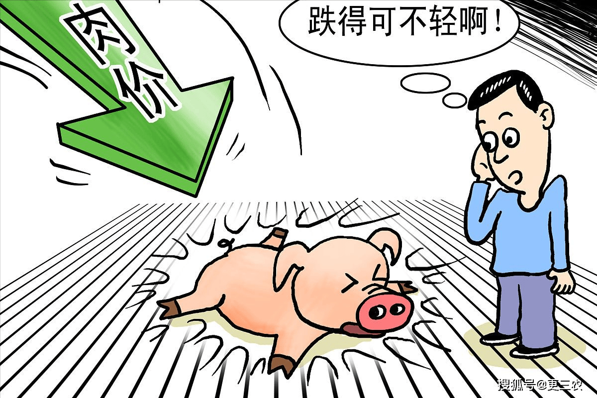 此番猪价由涨入跌,支撑猪价下跌的逻辑如下:目前,全国生猪出栏均价与