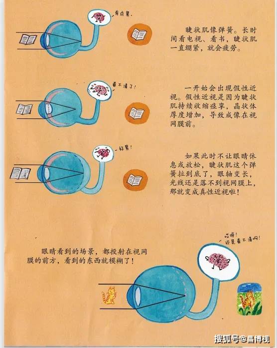 昌博视小雏鹰课堂|绘本共读伴成长(十三)_眼睛_保护_生活