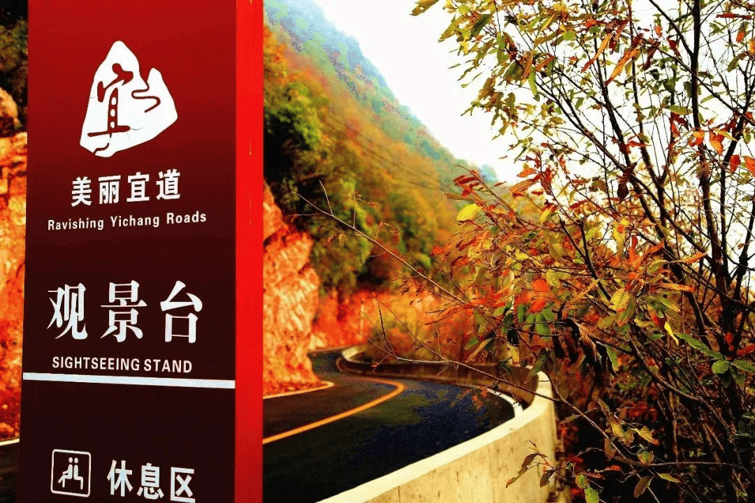 远安招引太平顶综合旅游开发项目随着山太路建成山崖木屋与漫山杜鹃相