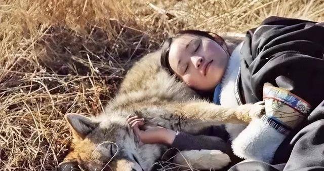 原创12年前把狼当儿子带回家的成都女孩10年后在草原与它再次相认