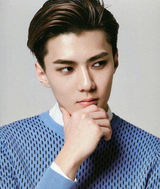 exo成员中日韩人气排行,和你想象中的一样吗_吴世勋_边伯贤_朴灿烈