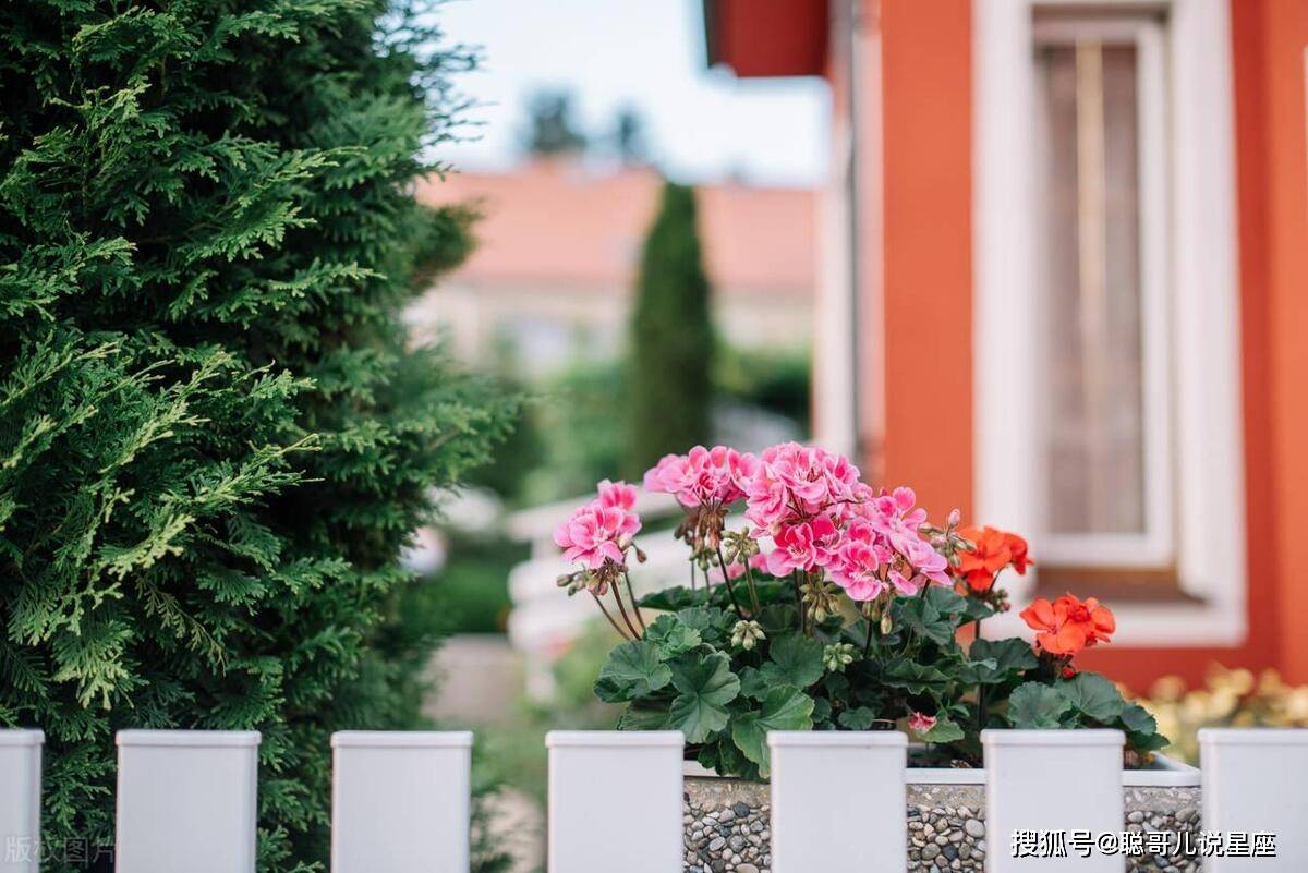 原创最是年少轻狂的星座真正等到拥有力量之后会愈发的完美