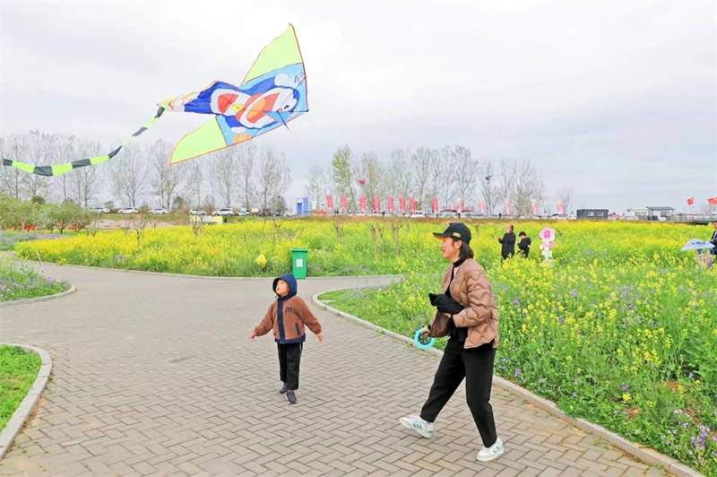 举办2024中国·邳州银杏湖千亩花海首届踏青风筝节_活动_游客_风景区
