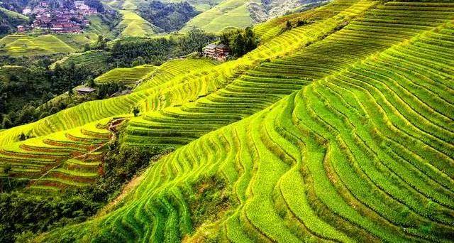 广西9道特色小吃色香味俱全道道皆美味让你快速了解广西