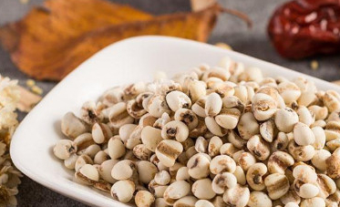 这种谷类产于越南,是减肥的最佳主食_苡仁_豆蔻_功效