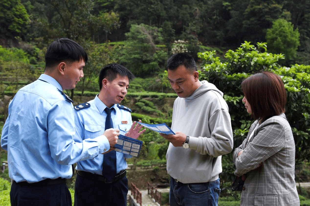 自贡荣县春风携暖意茶颜展税色
